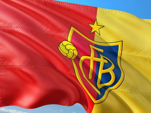 ky娱乐官网平台 -哈兰德回归赛场，赛事规则更新首场状态亮眼，瑞士队观众沸腾！